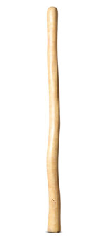 Medium Size Natural Finish Didgeridoo (TW1630)